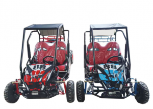 Leisure Two-person Gasoline Four-wheel Kart For Children