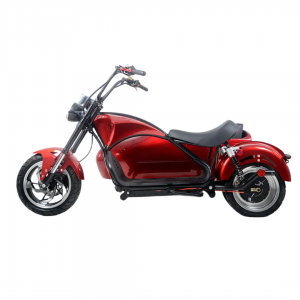 Motocicletta triciclo elettrico di alta qualità per adulti