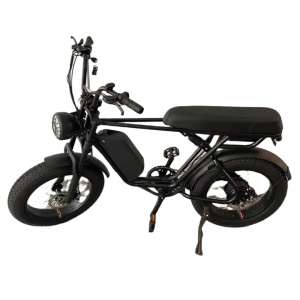 Electric Bicycle 20 Inch Fat Tire Fast Speed