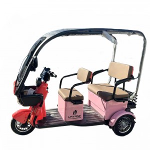 new model 1500W adult 3 wheel electric tricycle hot sell  three wheel vehicle