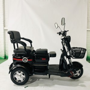 Električni tricikl za 2 odrasle osobe 600 W motorna olovna baterija