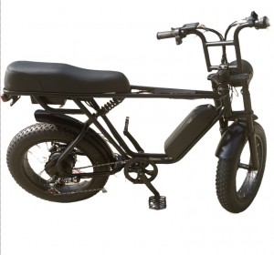 Ebike Electric Bike Էլեկտրական Հեծանիվ 20 Inch Fat Tire Արագ արագությամբ Էլեկտրական Հեծանիվ