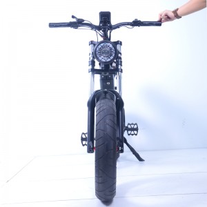 Hot Sale 20 tommer Snow Electric Bike