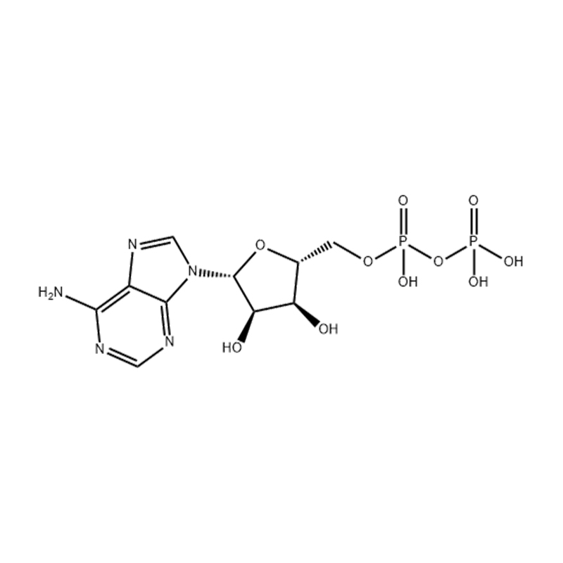 OEM/ODM China Monobactam Aztreonam - China Adenosine Diphosphate Manufacture Supplier –  Longo