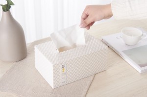 Weave Patterned Tissue Box