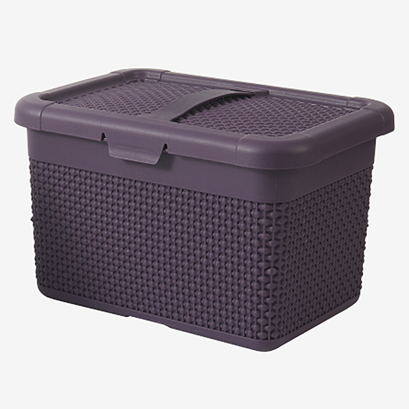 Storage box with handle(L) LJ-1669 Featured Image