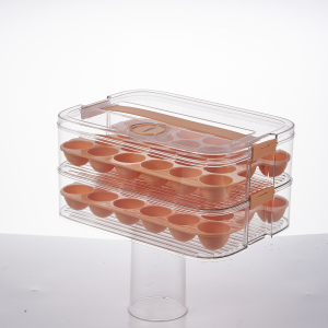 Storage box With Egg Holder LJ-2785