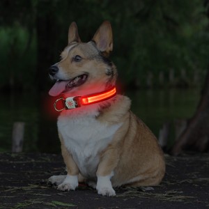 High Quality Collar Led For Dogs - New waterproof type adjustable size support logo custom USB charging to prevent lost led collar – Longstar