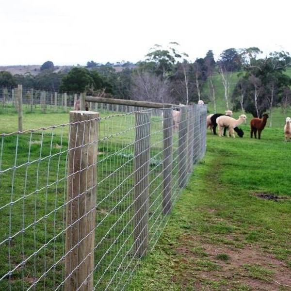 Diy Slat Fence - Field Fence – Longxiang