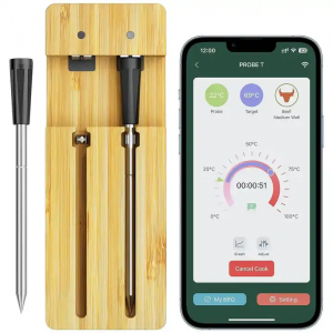 FM205 Smart Wireless Bluetooth BBQ Meat Thermometer 2 Probes سان