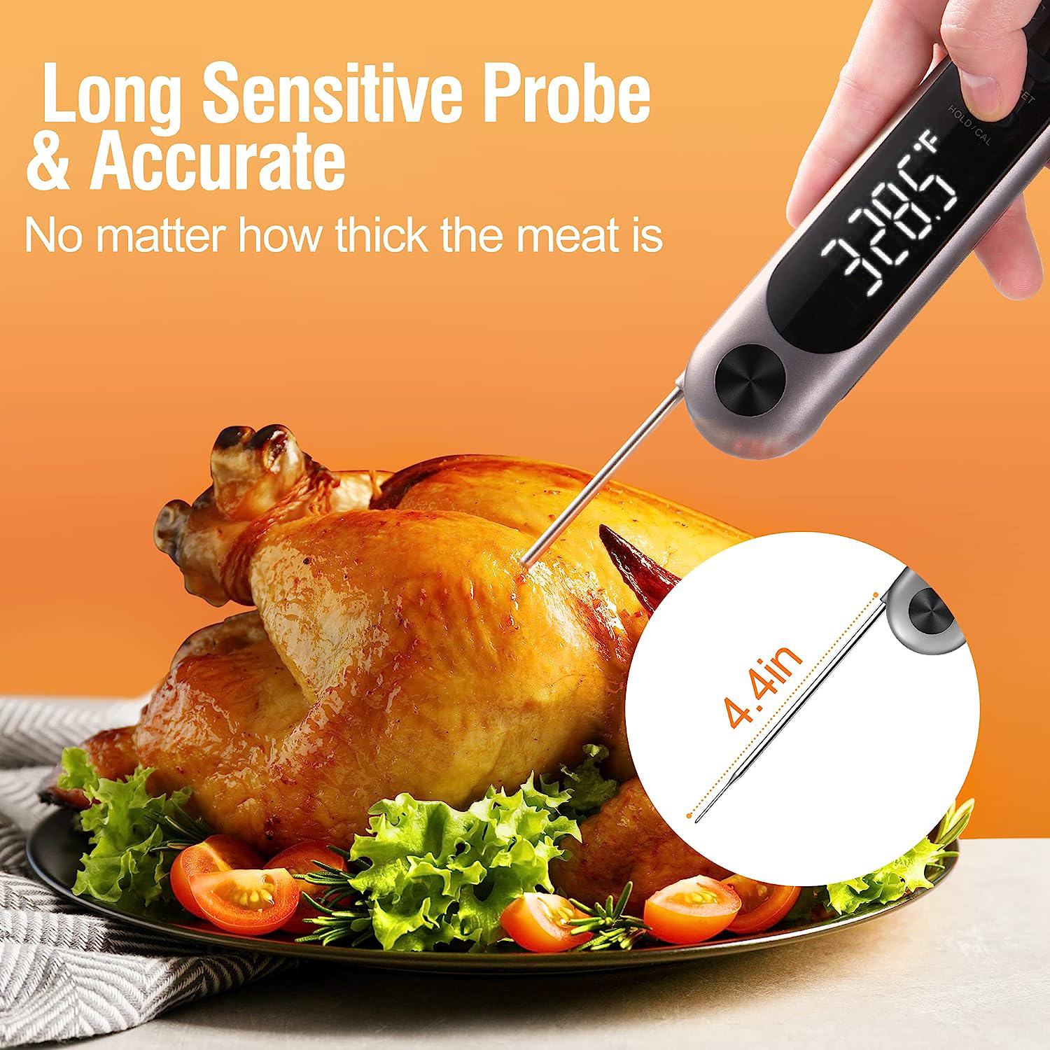 Do You know Optimal Placement where to put thermometer probe in turkey?
