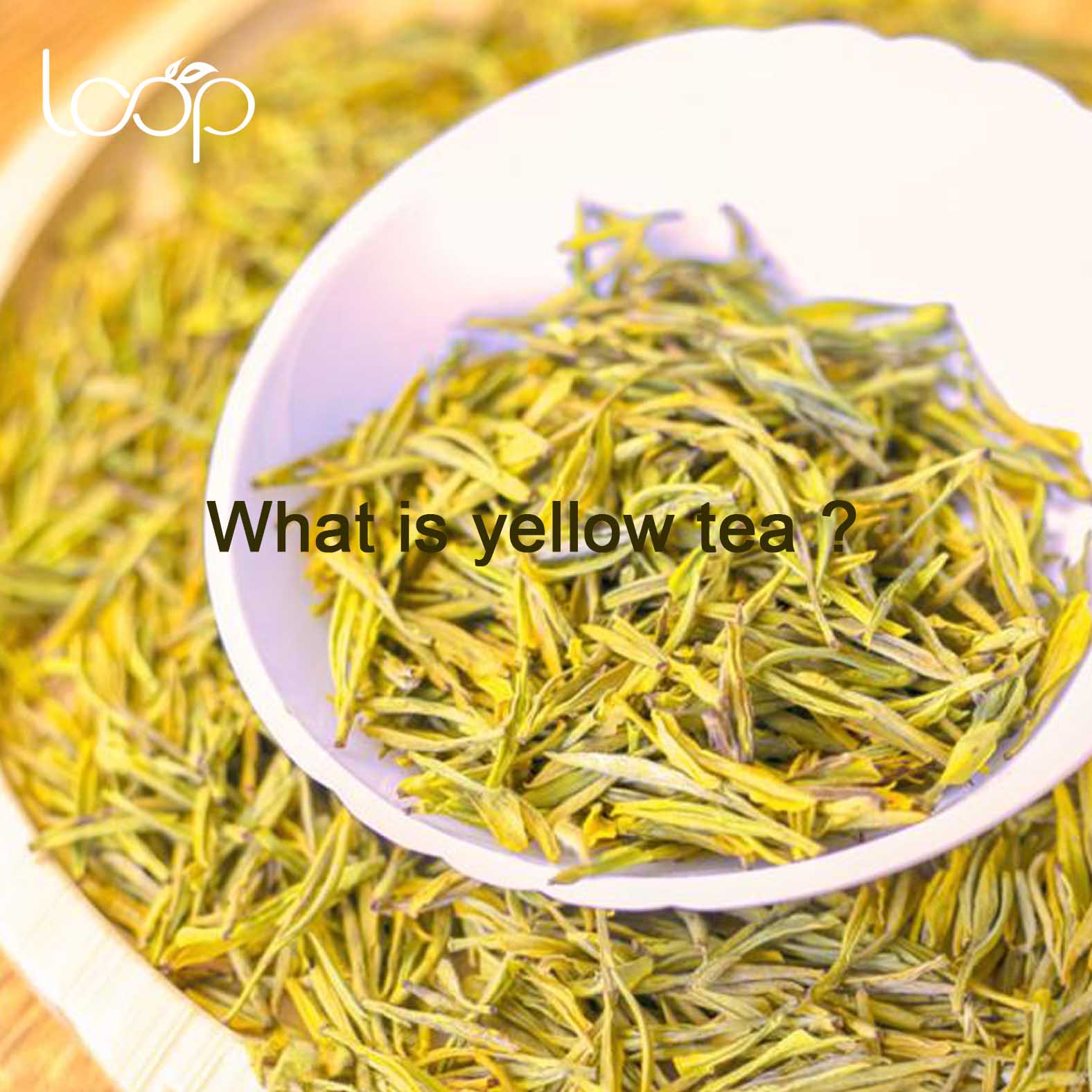 What is yellow tea?