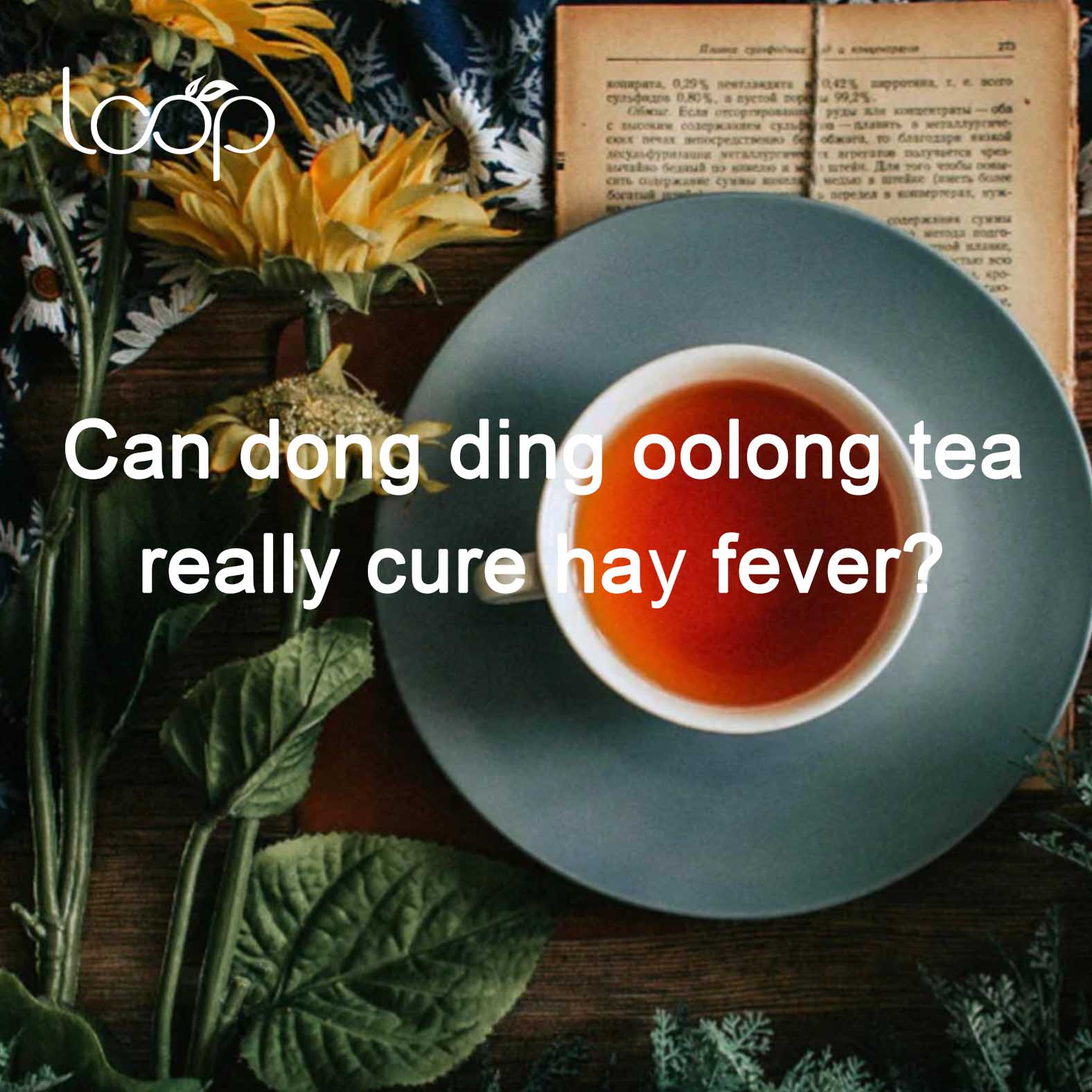 Can dong ding oolong tea really cure hay fever?