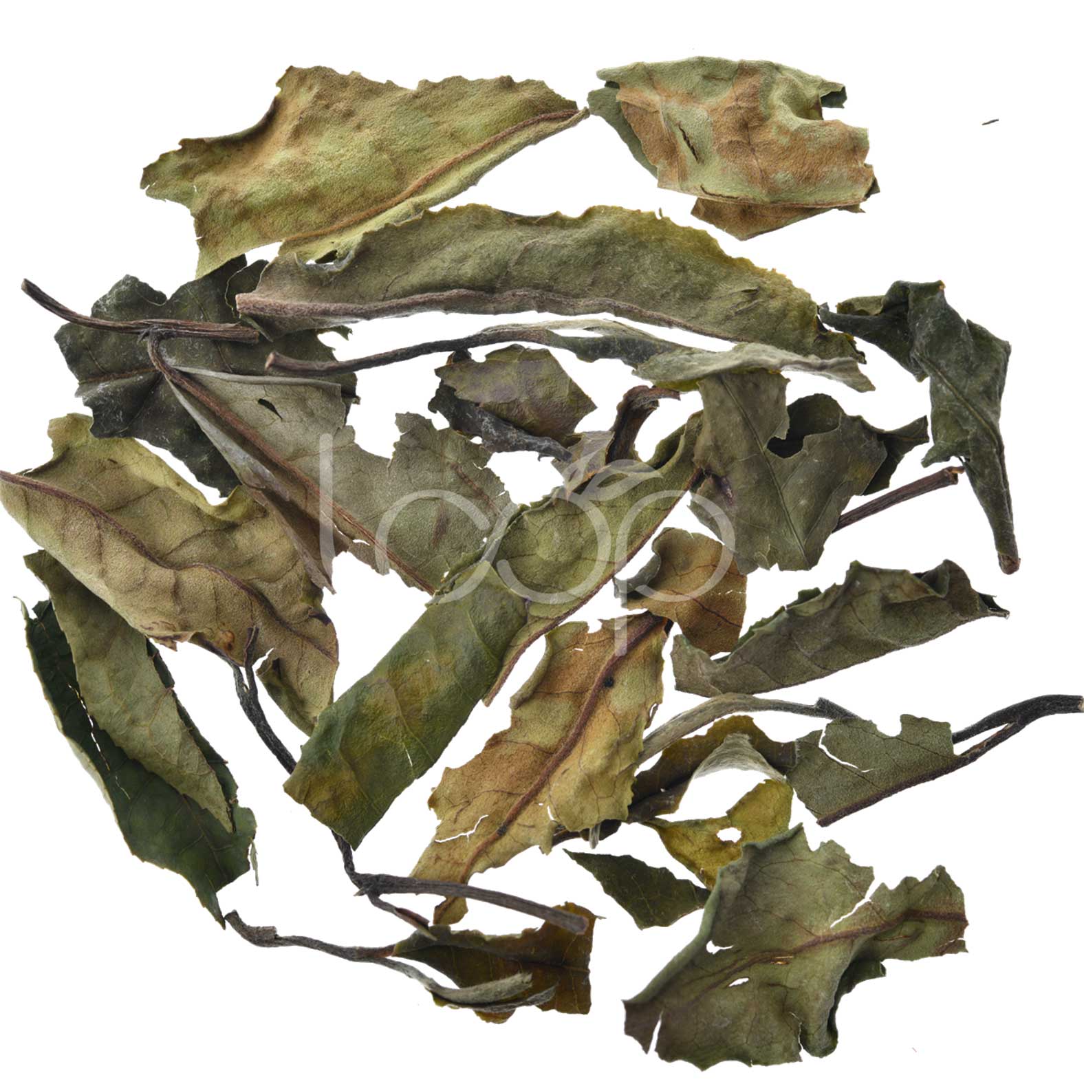 Dry-Leaf
