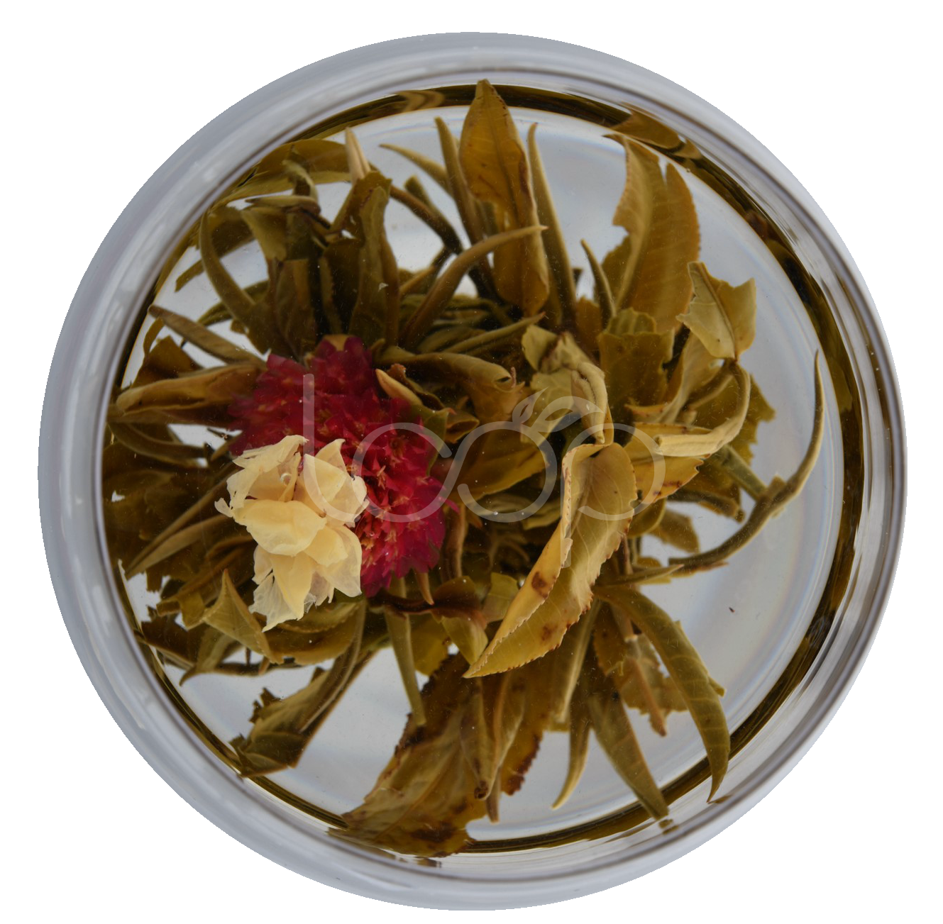 Blooming Tea Guan Yin Forest Featured Image
