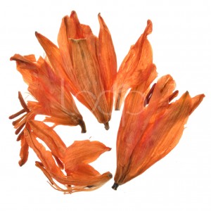Orange Flower Dehydrated Lily Herbal Tea