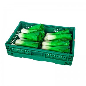 Ventilated Folding Plastic Crate for Fruit Vegetables