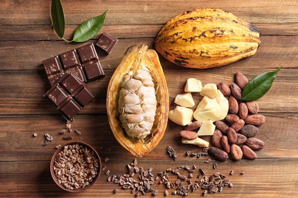 Barry Callebaut, Unilever Extend Cocoa, Chocolate Supply Agreement
