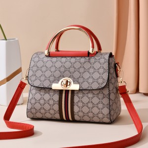 Luxury Handbag Lady factaraidh poca