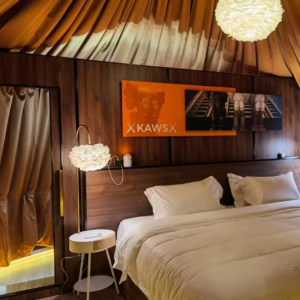 D6.0M Luxury Glamping Dome