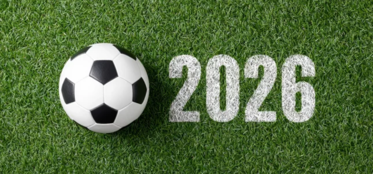 Sports Card Case Ideas for Protecting Your 2026 FIFA World Cup Trading Cards