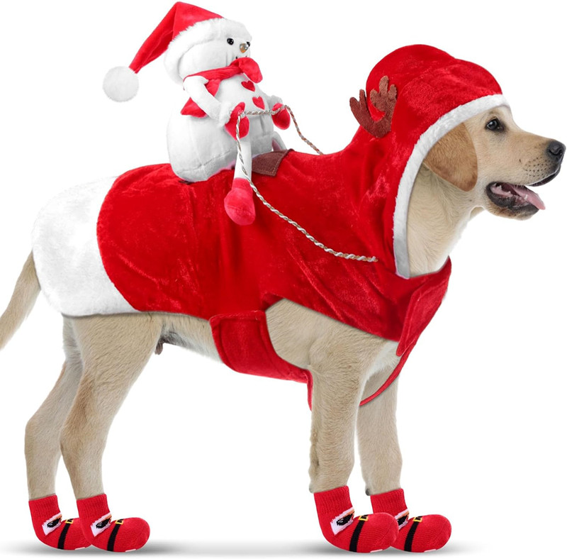 What gifts should I prepare for my furry child on Christmas?