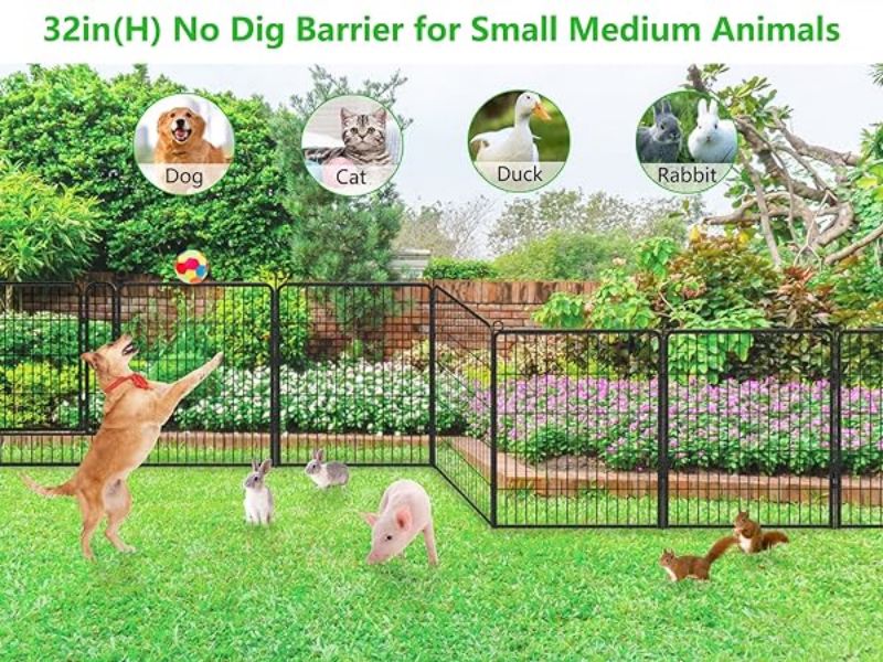 The Popularity of Metal Pet Garden Fences in Europe and America