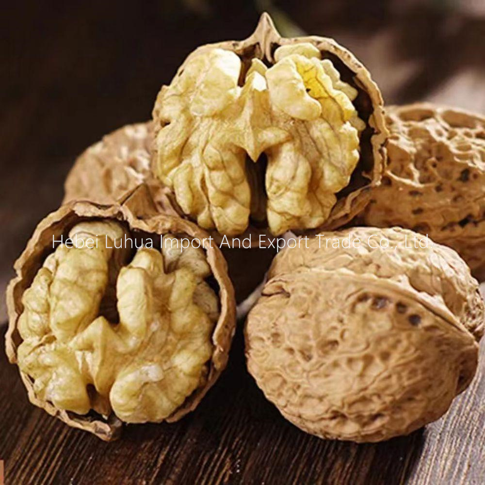China China walnuts Yunnan walnuts in shell manufacturers and