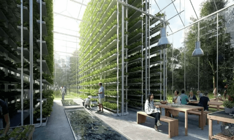 Vertical farms meet human food needs, allowing agricultural production to enter the city