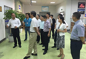Vice mayor wang xiang visited the company to investigate