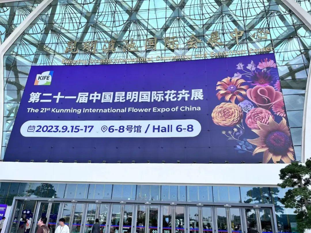 Lumlux | Kunming International Flowers & Plants EXPO has come to a successful conclusion, look forward to meeting you again next time
