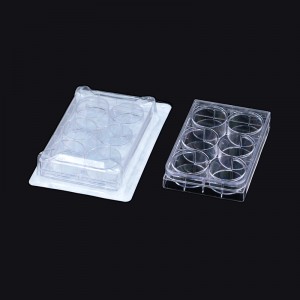 OEM Supply China 6 Well Plate Cell Culture Flat...