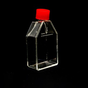 Factory source China Disposable Irradiation Sterilized Square 500ml Reagent Flask for Lab