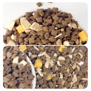 LSM-21 Full Nutritional Cat Dry Food with FD