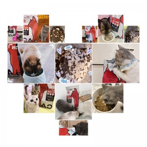 LSM-19 Full Nutritional Cat Dry Food with FD Chicken