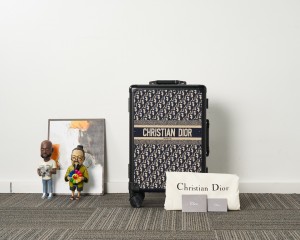 Dee. Christian Di0r luggage/luggage case