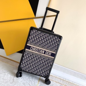 Dior Christian Dior luggage case