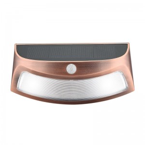 Outdoor Induction Solar Wall Light