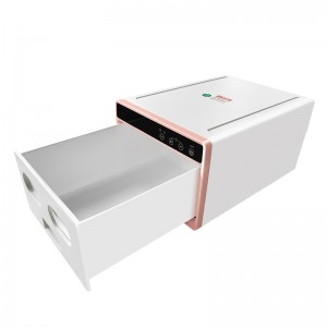 Multi-Function Lyl Non-Foldable Shoe Dryer Box