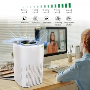 EPA CE FCC ISO Approve Ozone Air Purifier Air Cleaner For Home
