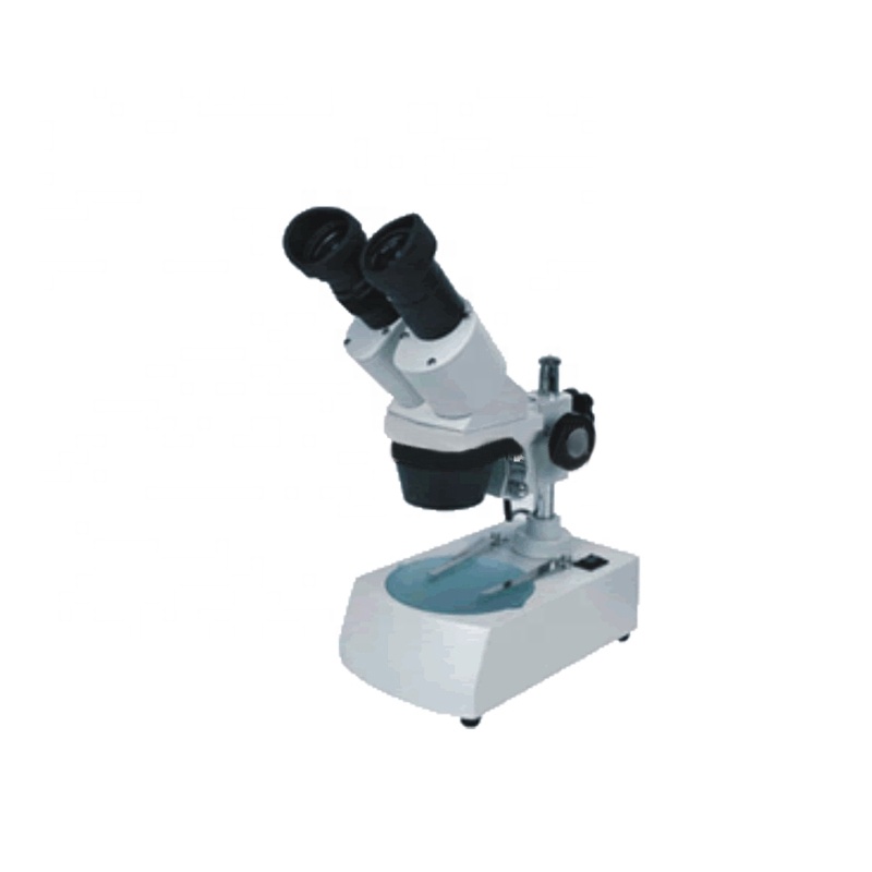 Stereo binocular digital microscope