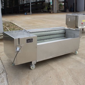 Brush roller cleaning and peeling machine