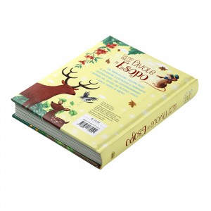 China Educational hardcover child/kids book printing services