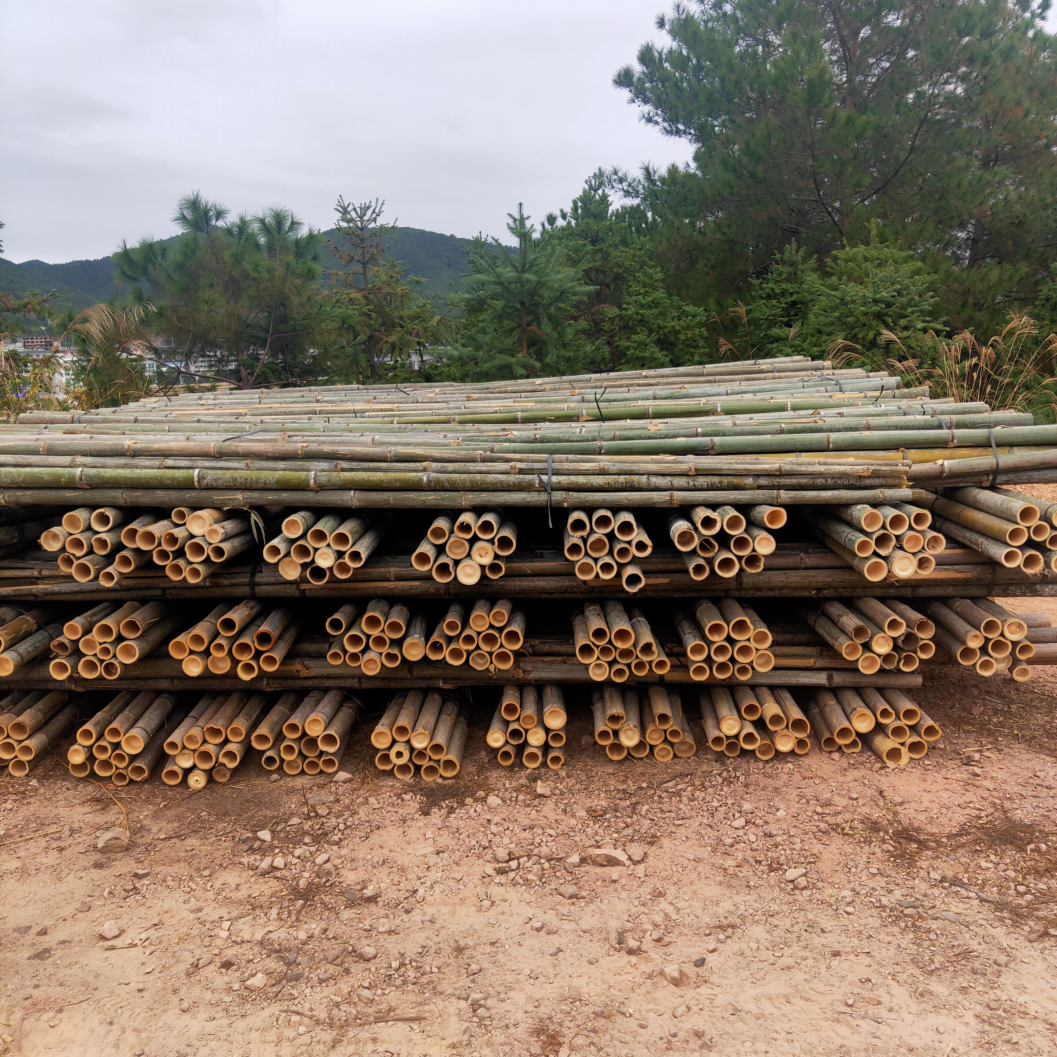 Why do the prices of bamboo raw materials continue to rise?