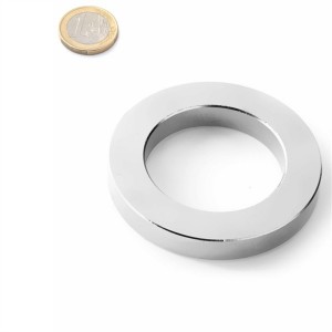 Magneti ad anello circolare personalizzati con magnete ad anello NdFeB per motore