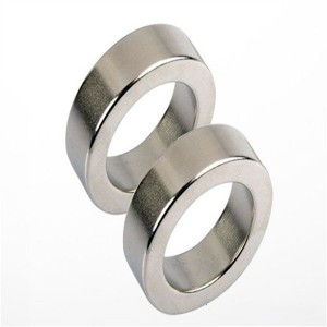 Magneti ad anello circolare personalizzati con magnete ad anello NdFeB per motore