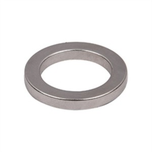 Pasadya nga NdFeB Ring Magnet Circular Ring Magnets para sa motor