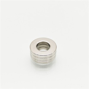 Pasgemaakte Neodymium Ring Magnete Buis Magnete