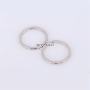Imants d'anell de neodimi personalitzats d'alta qualitat