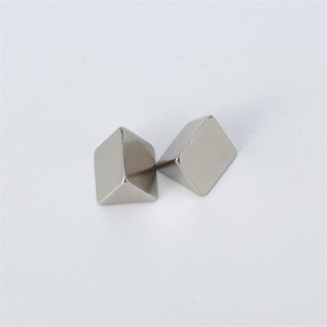 Neodymový přizpůsobený trojúhelníkový magnet se silným výkonem